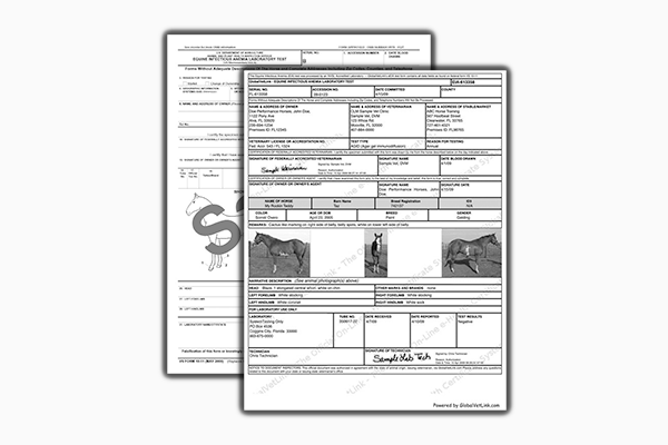 Electronic Certificates